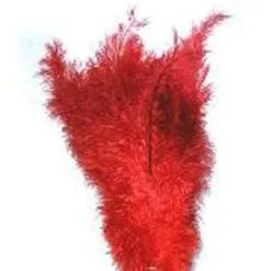 Floss Veren Rood (Piet Veren) ± 30cm