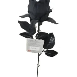 Halloween Roos Met Oogbal