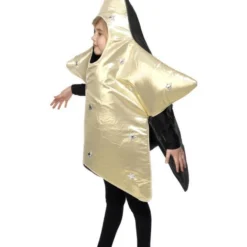 Kerstster Kostuum, Goud -Schmink Specialist kerstster kostuum goud 3