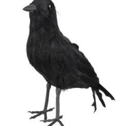 Kraai (23x10cm)