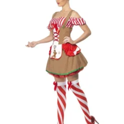 Peperkoek Dames Kostuum -Schmink Specialist peperkoek dames kostuum 2