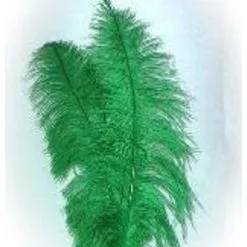 Spadonis Veren Groen (Piet Veren) ± 50cm