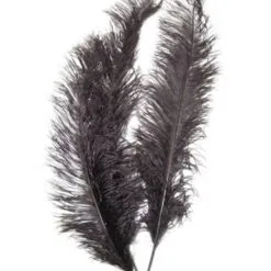 Spadonis Veren Zwart (Piet Veren) ± 50cm