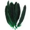 Veren Parelhoen 15/20 Cm Groen (10 Stuks)