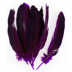 Veren Parelhoen 15/20 Cm Paars (10 Stuks)