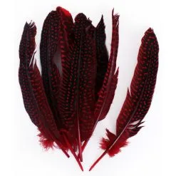 Veren Parelhoen 15/20 Cm Rood (10 Stuks)